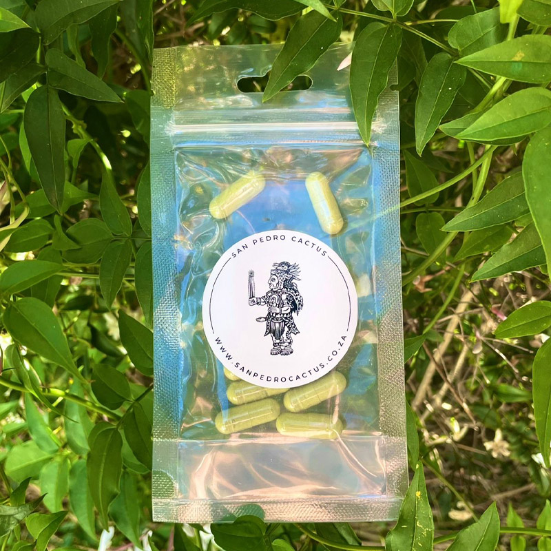 Product image for San Pedro Microdose x 10 Capsules (5g)