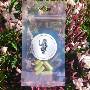 San Pedro Mescaline Extract (5 x 200mg Capsules / 1g Total)