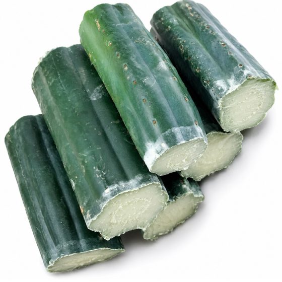 Echinopsis Pachanoi (San Pedro Cactus Pieces without Tips (3 - 7,5kg)