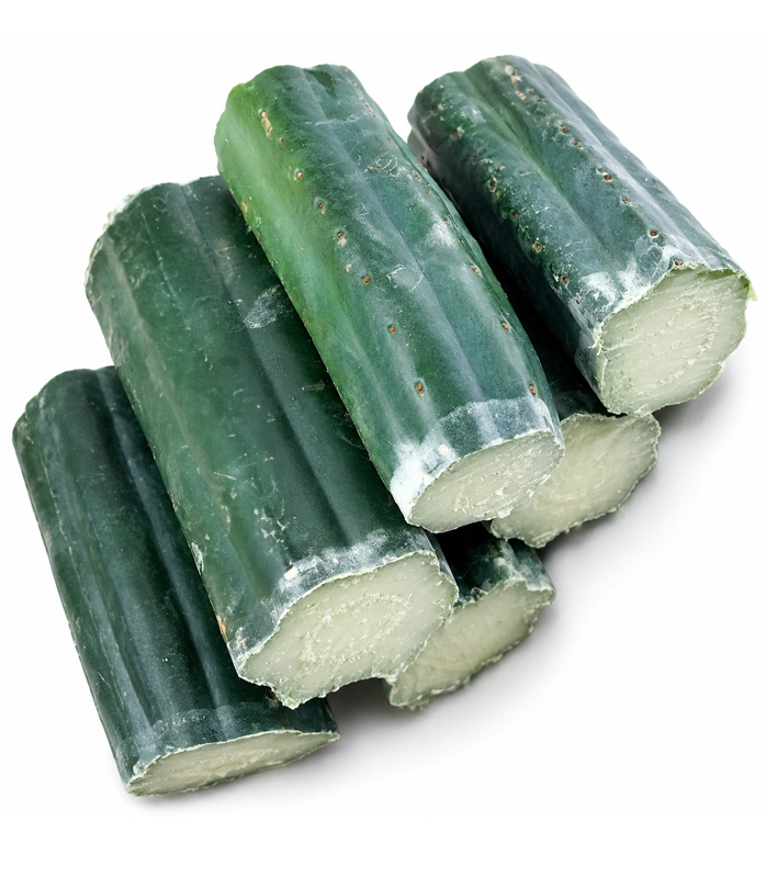 Echinopsis Pachanoi (San Pedro Cactus Pieces without Tips (3 – 7,5kg)
