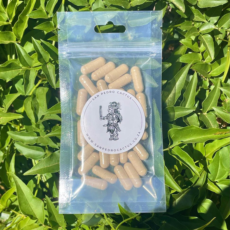 Product image for 30 x Withania Somnifera (Ashwagandha) Capsules (15g)