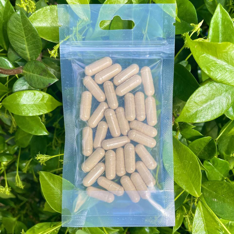 30 x Withania Somnifera (Ashwagandha) Capsules (15g) - Image 2