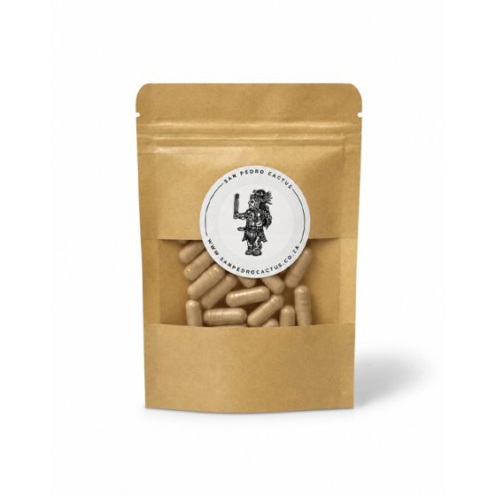 30 x Hericium Erinaceus - Lions Mane 500mg Capsules (15g)