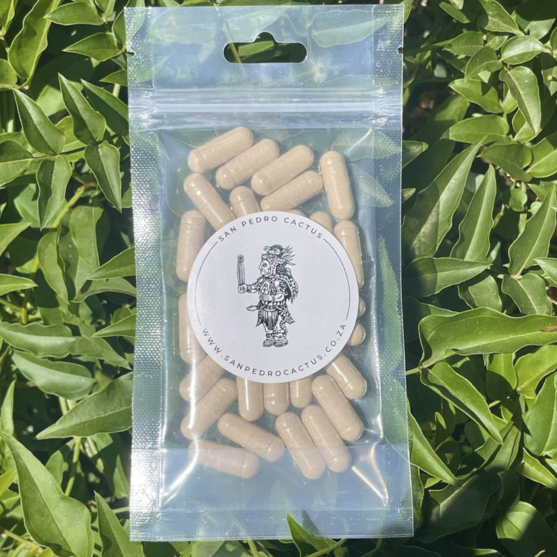 Product image for 30 x Hericium Erinaceus - Lions Mane 500mg Capsules (15g)