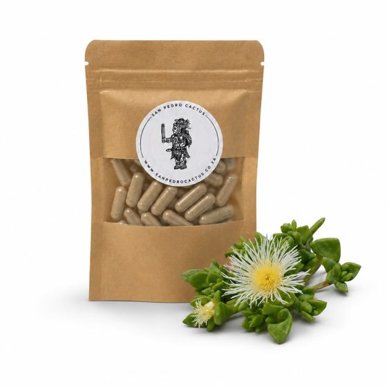 30 x Sceletium Tortuosum - Kanna 350mg Capsules (10,5g)