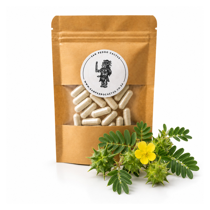 30 x Gokshura - 350mg Capsules (10,5g)